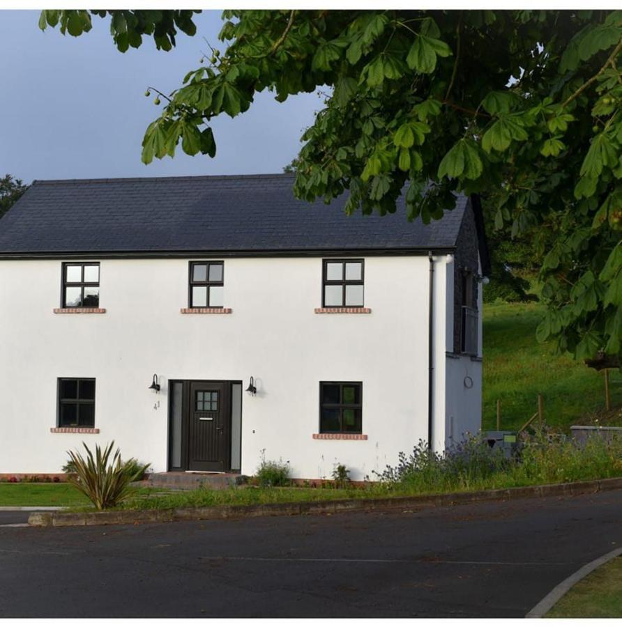 Villa Mill House Portglenone Esterno foto